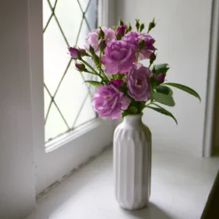 Rise Up Lilac Days™ Climbing Rose 8 Rise Up Lilac Days™ Climbing Rose -Naty Plants Shop RosaRiseUpLilacDaysP1173972 800x800 2fcb2d6